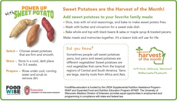 Sweet Potatoes Newsletter Insert
