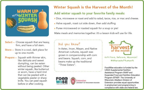 Winter Squash Newsletter Insert