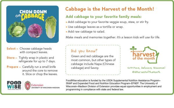 Cabbage Newsletter Insert