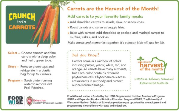 Carrots Newsletter Insert