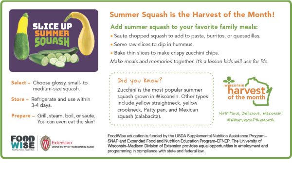 Summer Squash Newsletter Insert