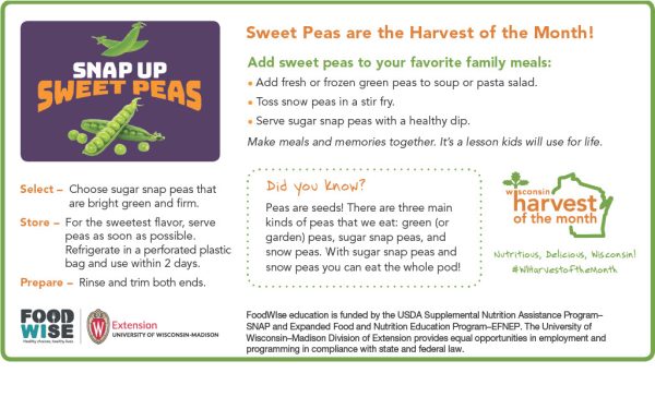 Sweet Peas Newsletter Insert