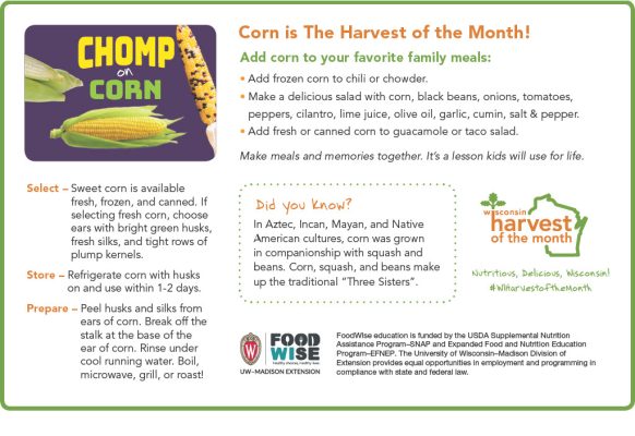 Corn Newsletter Insert