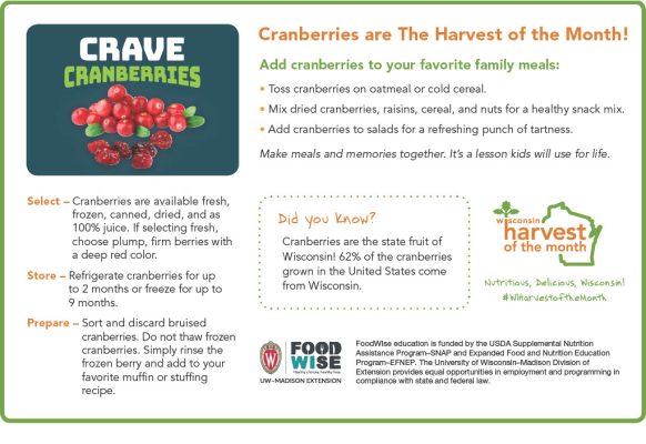 Cranberries Newsletter Insert