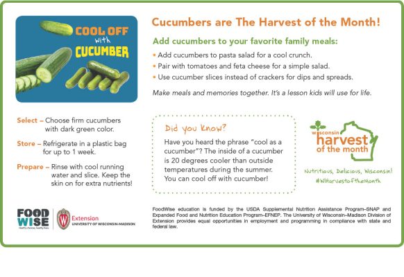 Cucumber Newsletter Insert
