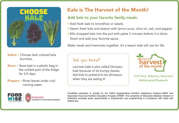 Kale Newsletter Insert