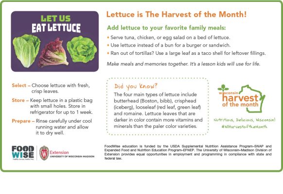 Lettuce Newsletter Insert