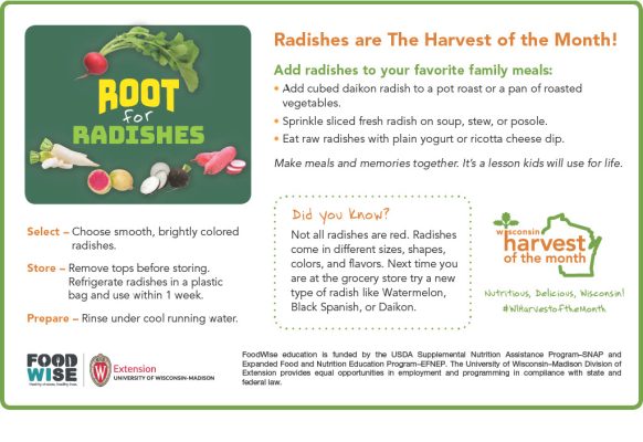 Radish Newsletter Insert