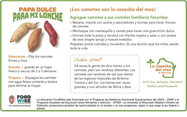 Inserción para el boletín sobre los camotes 