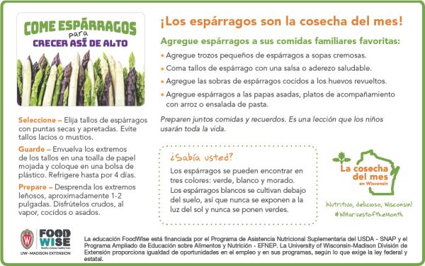 Inserción para el boletín sobre los espárragos
