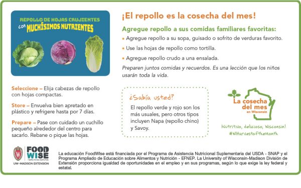 Inserción para el boletín sobre el repollo