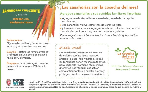 Inserción para el boletín sobre las zanahorias