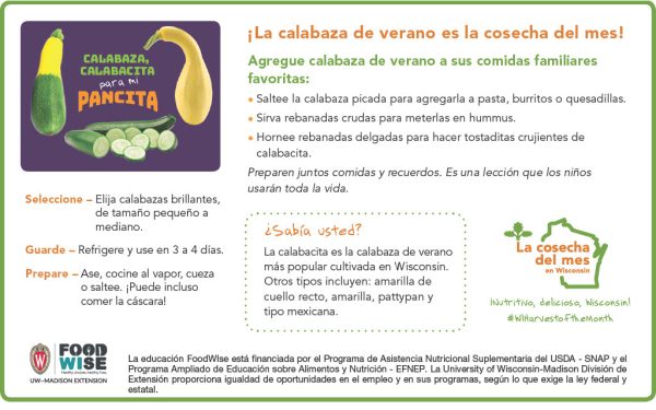 Inserción para el boletín sobre las calabazas de verano