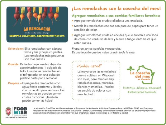 Inserción para el boletín sobre las remolachas