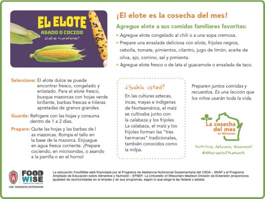Inserción para el boletín sobre de elote
