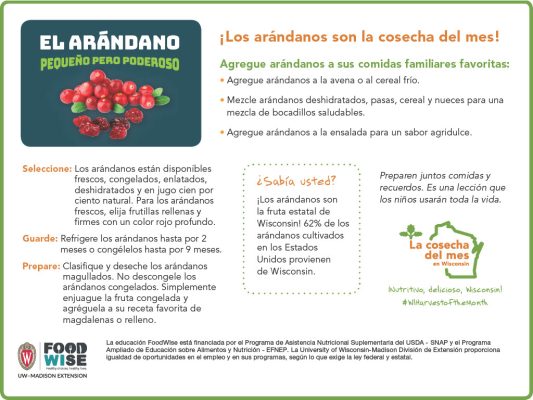 Inserción para el boletín sobre las arándanos