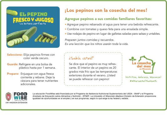 Inserción para el boletín sobre el pepino