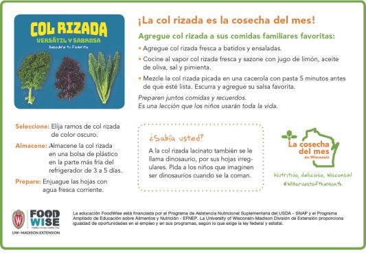 Inserción para el boletín sobre la col rizada