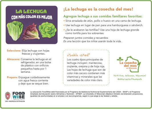 Inserción para el boletín sobre la lechuga