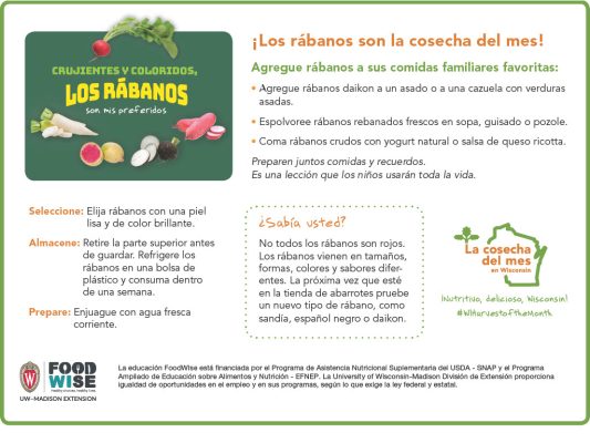 Inserción para el boletín sobre los rábanos