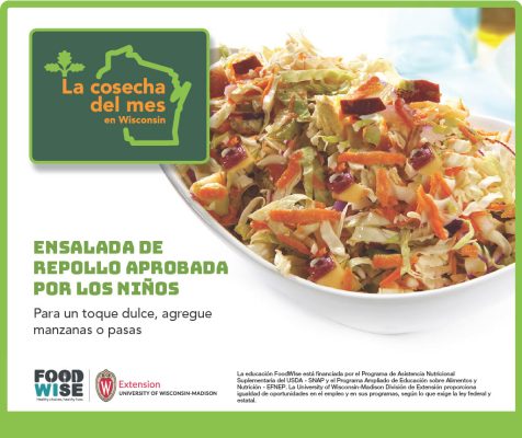 El repollo Facebook 3