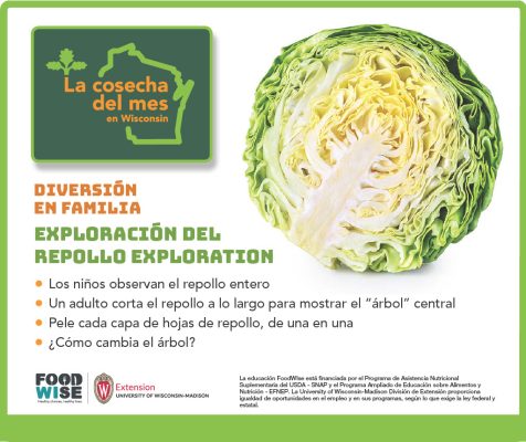 El repollo Facebook 1