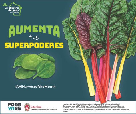 Cartelón de verduras de hoja verde 11×17