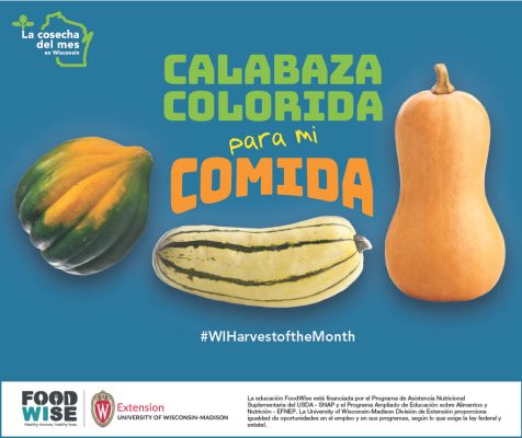 Cartelón de calabazas de invierno 11×17