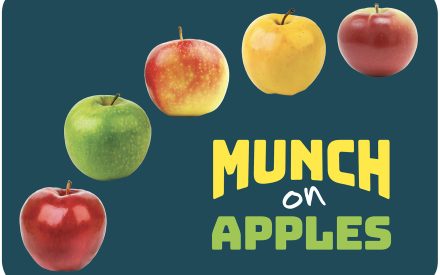 Apples Activity Guide