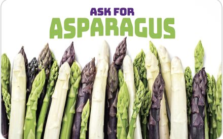 Asparagus Activity Guide