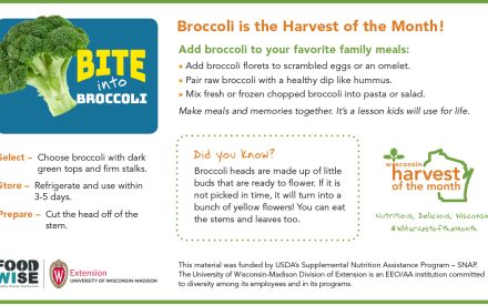 Broccoli Newsletter Insert