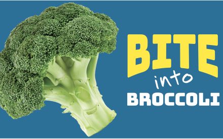 Broccoli Early Childhood Activity Guide