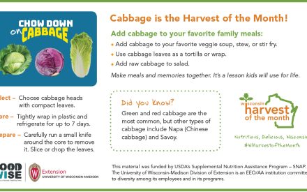 Cabbage Newsletter Insert
