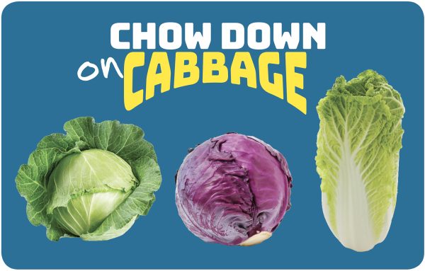 Cabbage Poster 18×24