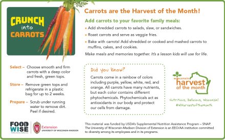 Carrots Newsletter Insert