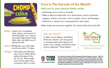 Corn Newsletter Insert