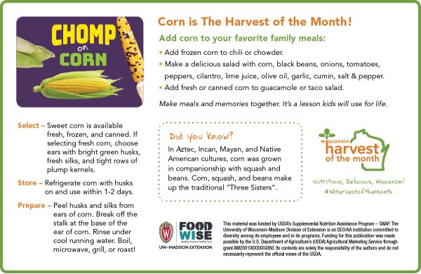 Corn Newsletter Insert