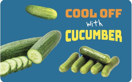 Cucumber Early Childhood Parent Resource