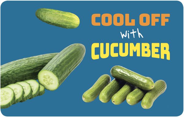 Cucumber Activity Guide