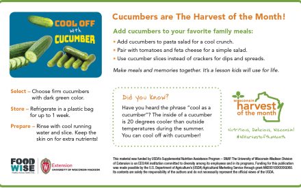 Cucumber Newsletter Insert
