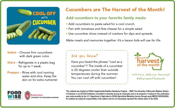 Cucumber Newsletter Insert