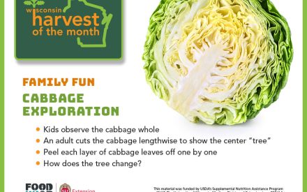 Cabbage Facebook Graphic 1