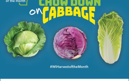 Cabbage Facebook Graphic 2