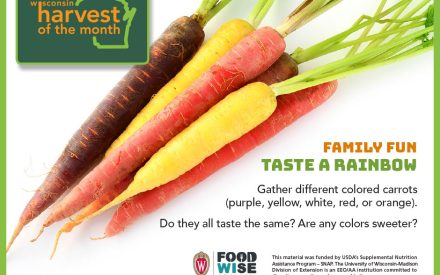 Carrots Facebook Graphic 1