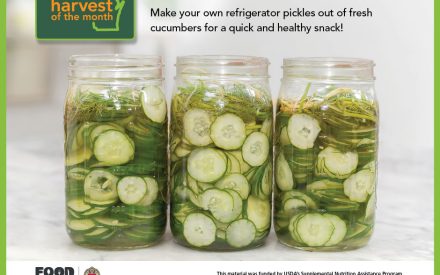 Cucumber Facebook Graphic 1