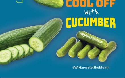 Cucumber Facebook Graphic 2