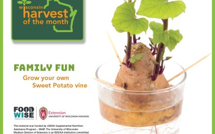 Sweet Potato Facebook Graphic 1