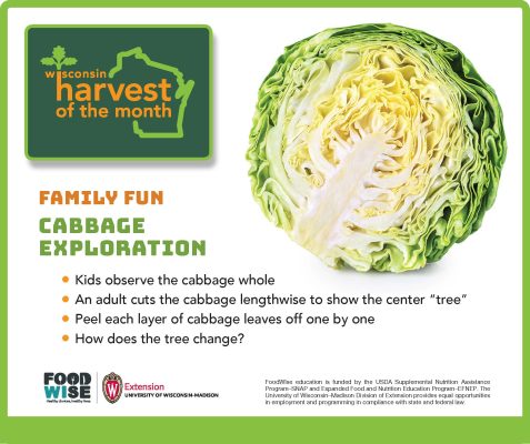 Cabbage Facebook Graphic 1