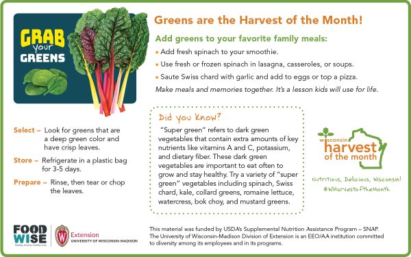 Greens Newsletter Insert