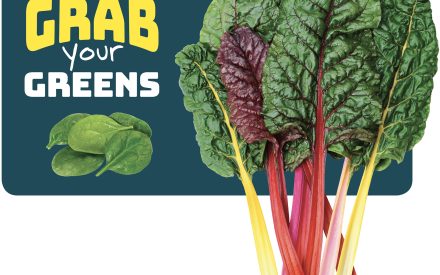 Greens Poster 18×24